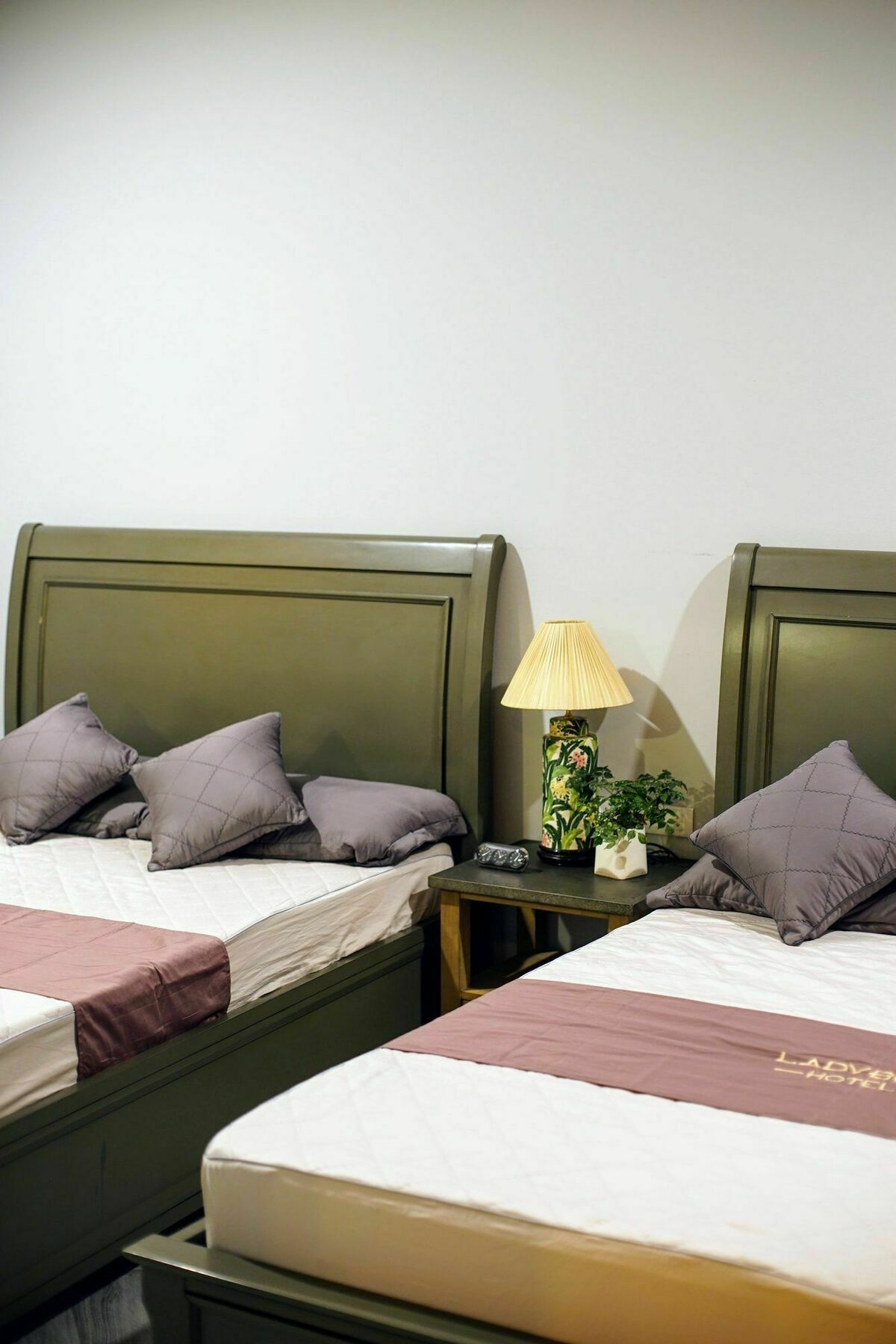 Ladybug Boutique Villa Ханой Екстер'єр фото